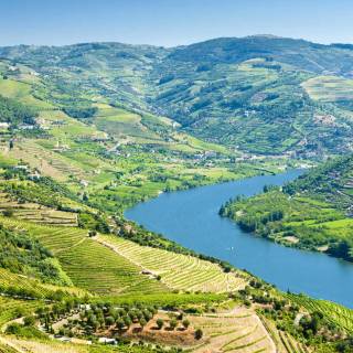 Douro River wallpaper