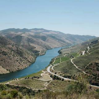 Douro River wallpaper