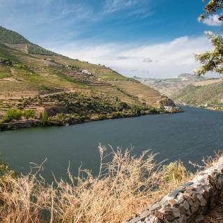 Douro River wallpaper