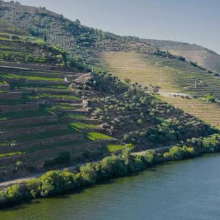 Douro River wallpaper