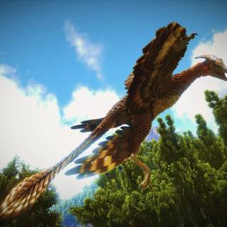 Microraptor wallpaper