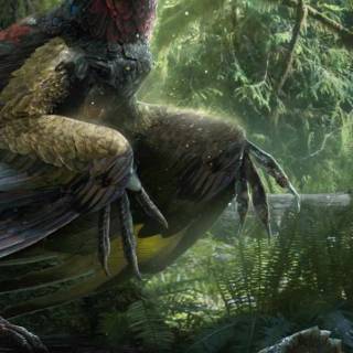 Microraptor wallpaper