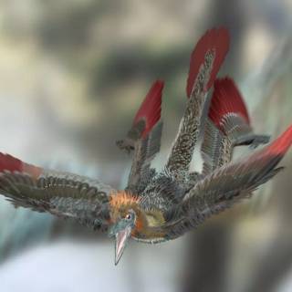 Microraptor wallpaper