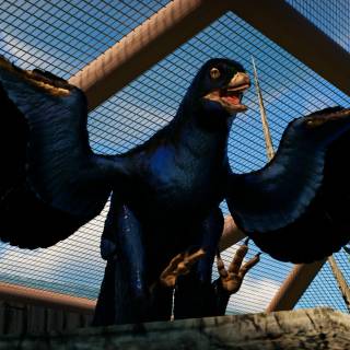 Microraptor wallpaper