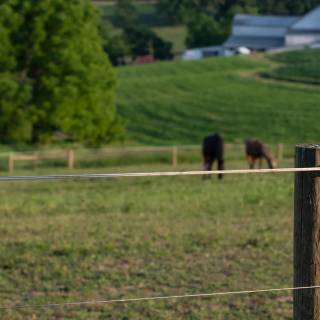 Electric fence wallpaper