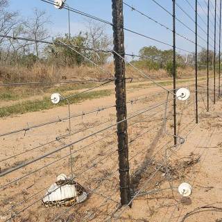 Electric fence wallpaper