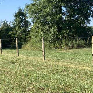 Electric fence wallpaper