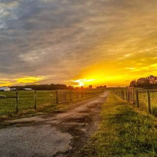 Electric fence wallpaper