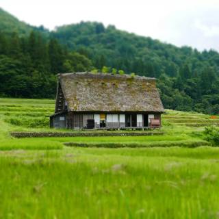 Rural Japan wallpaper