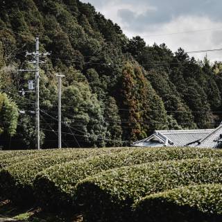 Rural Japan wallpaper