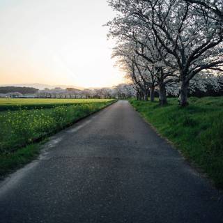 Rural Japan wallpaper
