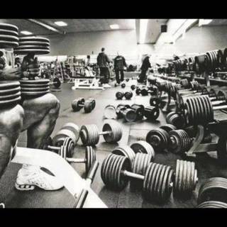 Old school bodybuilding wallpaper