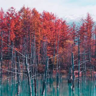 3440x1440 Japan wallpaper