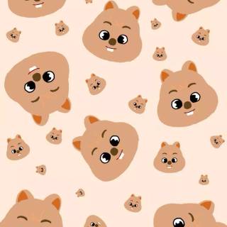 Han Quokka wallpaper