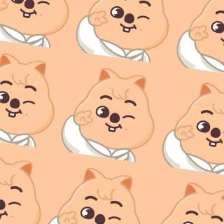 Han Quokka wallpaper