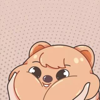 Han Quokka wallpaper