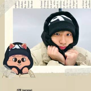 Han Quokka wallpaper