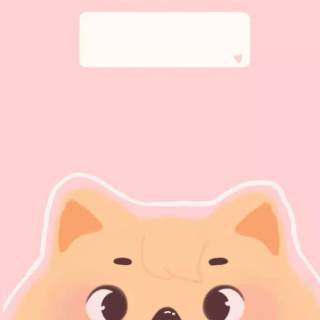 Han Quokka wallpaper