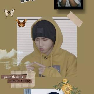 Han Quokka wallpaper