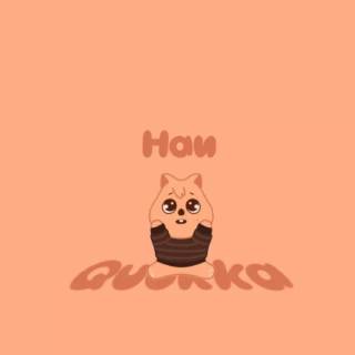 Han Quokka wallpaper