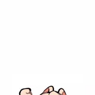 Han Quokka wallpaper