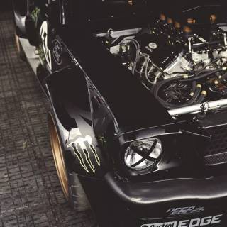 Hoonicorn iPhone wallpaper