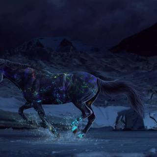 Horse PC wallpaper