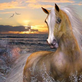 Horse PC wallpaper