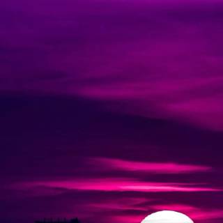 Lavender sky wallpaper