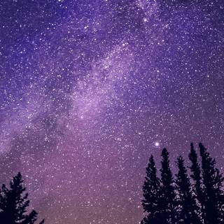 Lavender sky wallpaper