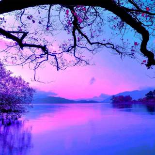 Lavender sky wallpaper