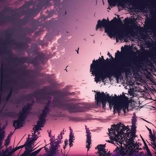 Lavender sky wallpaper