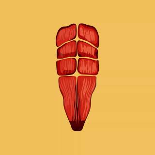 Abdominal muscle wallpaper