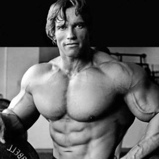 Abdominal muscle wallpaper