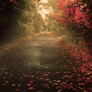 Nature god wallpaper