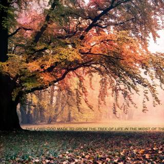 Nature god wallpaper