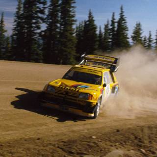 Peugeot 205 T16 wallpaper