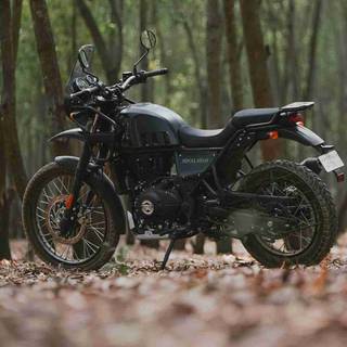 Royal Enfield Himalayan 650 wallpaper