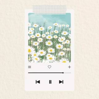 Spotify player wallpaper