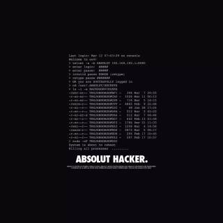 Funny hacker wallpaper