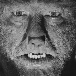 Lon Chaney Jr wallpaper