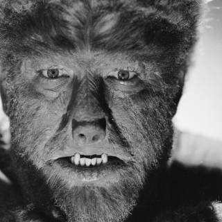 Lon Chaney Jr wallpaper