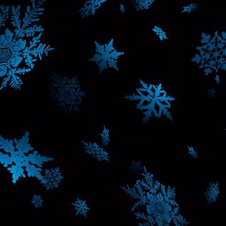 Blue snowflakes wallpaper