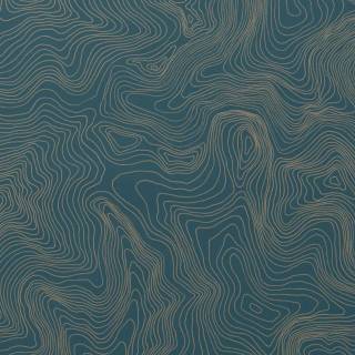 Blue topographic wallpaper