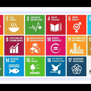 Sustainable Development Goals wallpaper