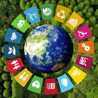 Sustainable Development Goals wallpaper