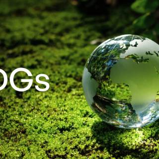 Sustainable Development Goals wallpaper