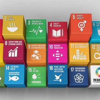 Sustainable Development Goals wallpaper