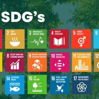 Sustainable Development Goals wallpaper