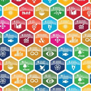 Sustainable Development Goals wallpaper